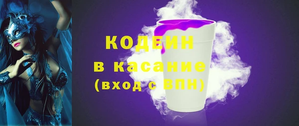 дурь Няндома