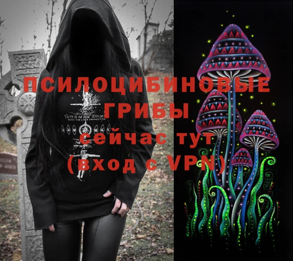 гашишное масло Новодвинск