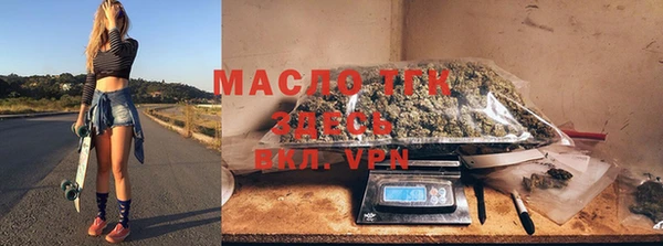 дурь Няндома