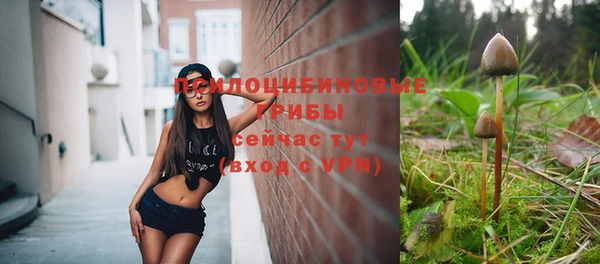 прущая мука Новозыбков